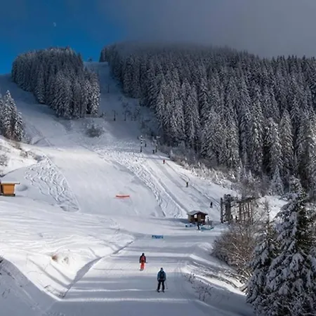 Les Cimes, Chaleureux 4 Pers, 50m Du Telecabine, Vue Degagee Sur Les Pistes, Draps Non Compris Daire