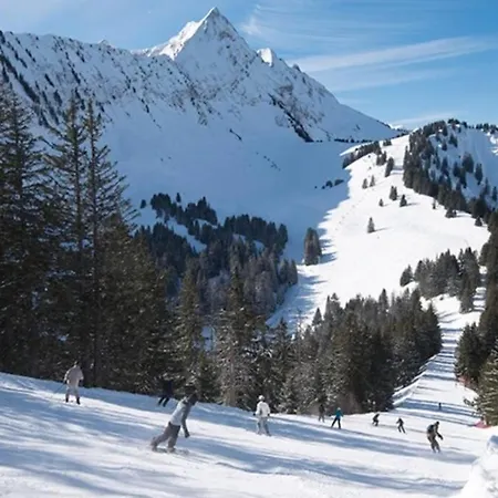 Les Cimes, Chaleureux 4 Pers, 50m Du Telecabine, Vue Degagee Sur Les Pistes, Draps Non Compris Апартаменты
